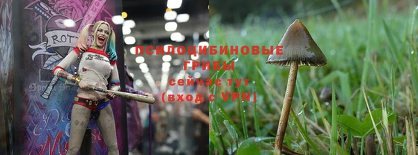 дживик Балабаново