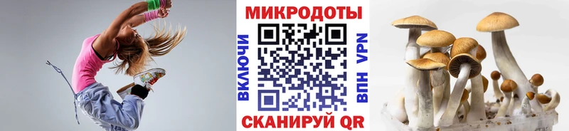 купить наркотик  Новый Оскол  Галлюциногенные грибы MAGIC MUSHROOMS 